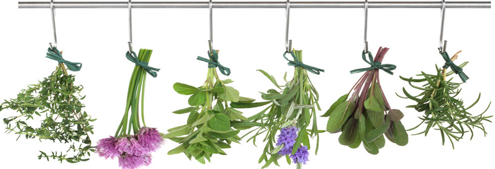 herbs-hanging1_copy.jpg