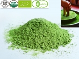 Organic matcha green tea powder