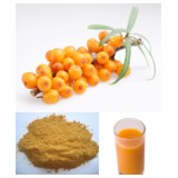 Organic sea buckthorn fruit powder